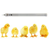 Светильники для птицеводства